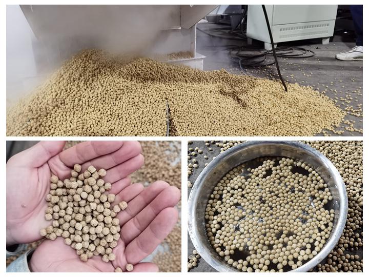 <h3>dry-type-growfindry type growfin fish feed pellet machine in the Philippines</h3>
